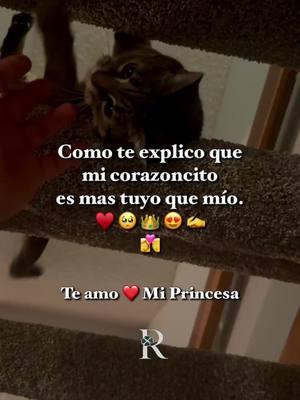 #frase #paratiiiiiiiiiiiiiiiiiiiiiiiiiiiiiii #mireina👑💕 #miprincesa👑 #te_amo #elamordemivida #enamorados #frasesbonitas💗 #paradedicar🙈❤️🙈 #rolitas30segundos #paraestados #frasesbelicas🍀📿🧿 #belicones😈📿☘️ #🍀_frases_986🧿_📿_✍️ #alucines📿🧿🙈 #paraestadoswhatsaap @Roxy 🦋 