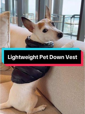 Lightweight Pet Down Vest💥🐶💥 #dogclothes #PetsOfTikTok #petclothes #dogsoftiktok #doglover #TikTokShop #tiktokmademebuyit 