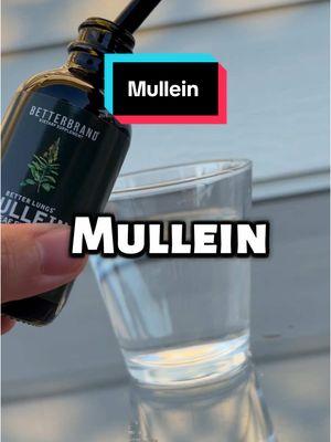 Why every man needs to use Mullein  #mullein #mulleinleaf #mulleinextract 