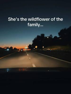 Wildflower 🌺  #youngest #daughter #family #strength #growup #world #expectations #thebaby #teased #dismissed #prove #learn #strong #softness #chaos #laughter #Love #wildflower #resilience #endlesslove #light #sunset #drive #driving #trend #trending #fyp #fypシ #foryoupage 