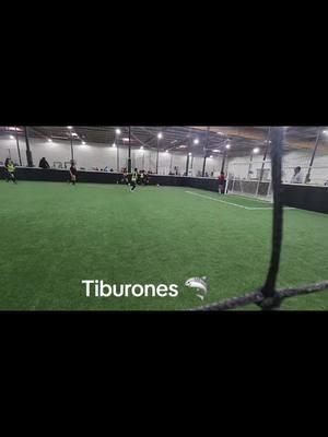 #Soccer#tiburones#4u#fyp#viral