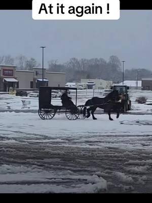 One horsepower Yee haa ! #amish #patadise #horse #power #snow #fy#fyp #yoder #yeehaa #fy