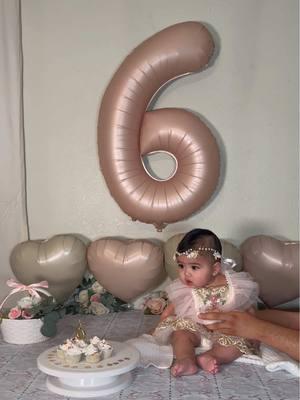 Felices 6 Meses a El Amor de Mi Vida #6months #photography #phothoshoot #babygirl #bebita #6mesesdeamor 