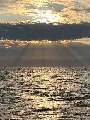 Nothing beats this, cant wait to be back out there. #ny #fyp #jamaicabay #fishing #centerconsole 