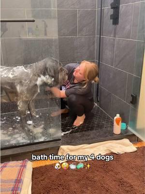 bath time for my 4 dogs 🐶🤪🛁🧼✨ #dogmom #dogbathroutine #lifewithdogs #dogbath #dogproducts @Raw Sugar Living 