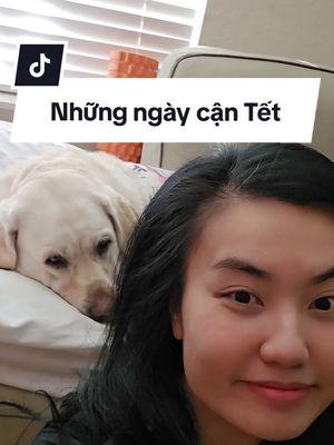 🥰 #cuocsongmy #cuocsongthuongngay #cuocsong #tet2025 #tet #Vlog #ancungtiktok #mukbang #poodle #labradorretriever #labrador #fyp #foryou #xuhuongtiktok #xuhuongtiktokk #LearnOnTikTok #vickynguyen 