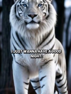 White Bengel Tiger - I Just Want To Have A Good Night #aianimals #whitebengaltiger #modemizerskidsvids 