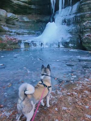 #beautifullandscape #healingtiktok #mentalhealthmatters #illinois #waterfalls #Hiking #mothernature #frozen #starvedrockstatepark #wildcatcanyon #peace 