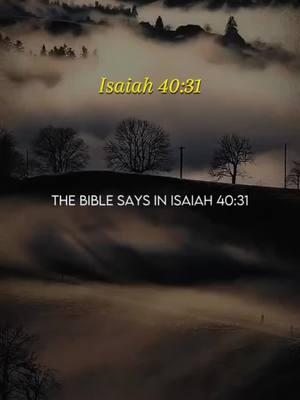 #duet with @Prayers_Daily_ #isaiah4031 