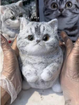 Super cute chubby cat.#cat #squishy #DIY #kitty #ragdoll #puppy #art #custom #fy #handmade #bird #foryou #painting #teddy #craft 