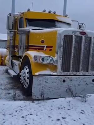 New Peterbilt 589 sitting in the snow @RoadWorks Manufacturing @Renegade Products USA @ShiftProducts @12ga. customs #589#oneofakindcustoms#fyp#f#fypシ 