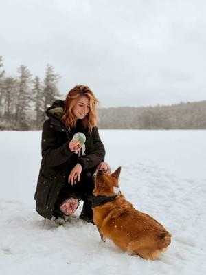 Little fetch on a frozen pond today. And yes my throws were wimpy only cause I kept slipping on the ice under the snow and I also didn’t want to throw far cause I wanted to be safe and keep Peach close 🖤#fypシ  #corgi #newengland #newenglandwinter 