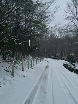 In my happy era ❄️🤍  #nature #lakecumberland #kentucky #wildlife #snow #deer #campground #capcut 