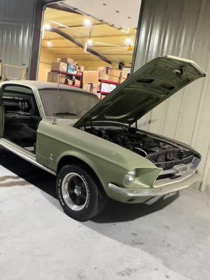 Waking up the beast. 1967 Mustang Fastback #cargirlmafia #mkenzidenise #mustangfastback #fastbackmustang #1967mustang #classiccar #projectcar