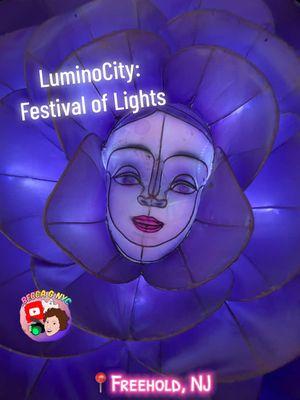 @LuminoCity Festival #lights #festival #freehold #nj #freeholdnj #newjersey #christmas #newyears #2024 #2025 #aliceinwonderland #dinosaur #dinosaurs #sealife #jellyfish 