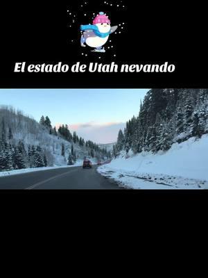 ❄️ El #2025 comenzó con nevadas y #frío intenso en distintos estados del pais un ejemplo es #Utah  #weather #EEUU #extremeweather #clima #nevadas ##snow #dashcam #drive #crash #roadrage 