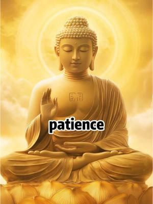 Patience is a form of practice #buddha #buddist #buddies #ommanipadmehum #blessings  #prayer