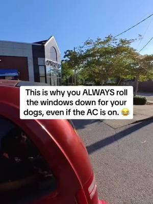 In memorium of TikTok leaving us. Here’s my most viral video ever. #locksmith #lockout #roadsideassistance #cdu #dog #dogsoftiktok 