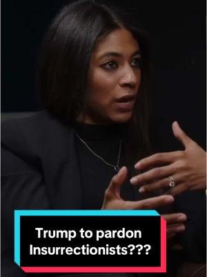 Jan. 11, 2025 - Except from my One-on-One interview with Elise Adamson regarding Trump’s claims to give pardons to J6 insurrectionists. #justicematters #jan6 #donaldtrump #pardons #presidentialpardon 