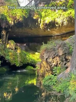 🥾Epic trails, a breathtaking waterfall, and a secret grotto in Texas🌿 @westcave near @visitaustintx is a breathtaking spot you’ll want to add to your list! Hike scenic trails, take in the beauty of a canyon waterfall, explore a wet grotto, and more—all while soaking up nature’s wonders. W/ @readysetjetset, who joined in on this amazing adventure! You can experience it all on a guided canyon tour, but heads up—it’s a 1-mile moderate to difficult hike, and reservations are required✨ Comment Link” for our list of the best 50+ day trips from Austin! 🚘 Follow @mycurlyadventures_ for more travel recommendations across Texas! #texasnature #austinhiking #austintxnature #texashikes #texasoutdoors #texastravel #texasdestinations #latinablogger #travelblogger #texastravelblogger