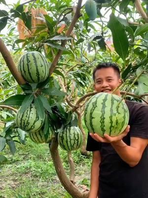 OMG😱🥰😋🔥✨#top #happy #fyp #asmr #foryou #fruit #threefarmers #smile #fresh #yummy 