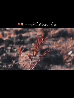 #درد جتنا شدید ہوتا ہے عشق اتنا مزید ہوتا ہے #urdushayari  #urdupoetry  #urdu  #urduwrites  #foryou  #poetry  #poetrylover  #growmyaccount  #grow  #unfreez  #foryoupage  #tehzeebhafi  #johnalia  #iftikhar_thakhar  #imrankhan  #urduline  See translation 177 4G+ K/S Vo 4G LTE 68 22.3K ... 181 2,828 1,595 Hide 11 99+ + Inbox Profile Home