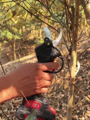 Must-Have Picks •  Innovative Electric Pruning Shears Product link in my video shopping cart #shears #ElectricSecateurs #goodthingstoshare #viral #gardening #pruning #Gardening#Electricscissor# Homegardein g #Timesaver #SmartTools #branches #treecutter #electricshears #pruning #treecut #electrictools #batter #blackfriday