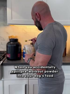 My dog ate my pre-workout! #dog #labrador #relatable #preworkout #dogdad #funnydog