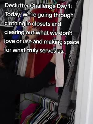 Decluttering Day 1: Clothing in Closets! 👗✨ Start fresh and make space for what matters. Let’s do this together! 💪 Grab your free declutter checklist at 🔗 in bio and check out Day 1 video tips here @Melissa The Daily DIY  #DeclutterChallenge #thedailydiy #closetcleanout 