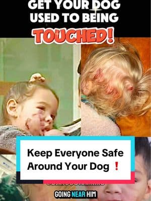 ❗️This is such a crucial part of training but is often overlooked. Whether your dog is big or small, this must get done to keep everyone safe.  ✨This is especially important if you have little kids around. You are not the only one that will deal with your dog in their life time. Kids, vet, groomers, dog sitters etc. #dogtrainingtips #dogtrainer #xlbully #150lbs #georgiadogtrainer #obediencetraining #basicobedience #atlantadogtrainer #protectiondog #workingline #biting 