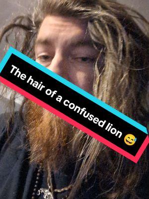 A, confused lion. If you will 😅 #outofcosplay #goodmorningtiktok #hathair #liveyourway  #beexcellenttoeachother #adhd #adhdtiktok #adhdbrain #squirrelgang #longhair #beardedfellow #heathen #goofball #humor #realvoice #norsedudist #prochoice #beadorkeveryday #ForTheRamen #sundayshenanagins 