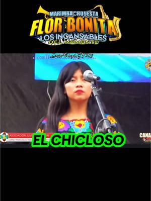 Dame El Chicloso #fyrシ #paratiiiiiiiiiiiiiiiiiiiiiiiiiiiiiii #pypシ #dale❤️ #marimbasorquestas #marimbasorquestas #fypシ゚viral #dame #chicloso #incansable #maria #julissa Y @Anjelica Cuin  