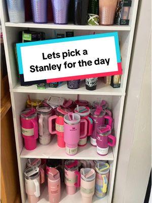 Let’s pick a Stanley of the day! Let me know if you’d like me to continue I can make it a daily video! #stanley #StanleyCup #cupcollectors #stanleyoftheday #cuphunter