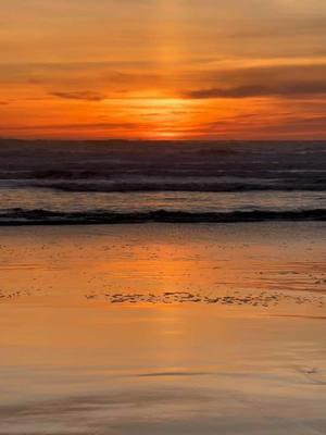 Ocean sunsets ☺️ 🌅 #pnwonderland #fyp #washington #washingtoncoast #ocean #oceansunset 