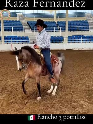 Raza Fernández, caballos,,rancho 3 potrillos, Guadalajara Jalisco, Mx #viraltiktok #caballos #mexico #entretenimiento #VicenteFernandez #futbol #videos 