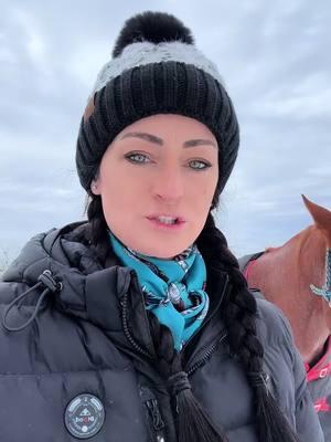 ALL the updates! The heifers, the mares, the rehab horse, Dave AND the platforms in already posting on! #fyp #horsesoftiktok #horsesontiktok #prettydave #winter #tkequine 