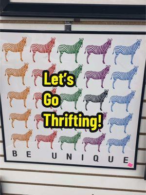 Let’s Go Thrifting! #Thrift #Thrifted #ThriftFinds #ThriftShop #palmsprings #palmspringscalifornia #GarageSale #Haul #ThriftHaul #broyhill #Antique #MidCentury #revivalspalmsprings #Goodwill #Kitchen #HomeDecor #jimlanahan #djt #maga #tax #taxes #trump #jewish #nyc #white #leather #zebra #unique #skull #desert #cactus 