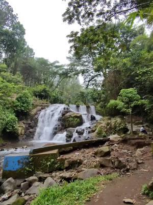 Los Domingos en El Cantón son los para explorar la selva tropical 🥰 #elsalvador #vidadelcampo #rios #cascadas 