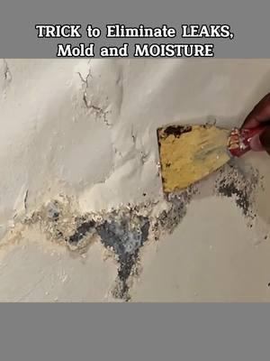 Trick to Eliminate Leaks, Mold and Moisture. #Tricks #TipTikTok #HomeTips 