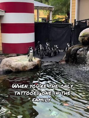 Who else knows the feeling ? #tattootiktok #tampatattoos #fyp #tampaflorida 