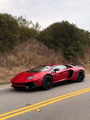 Lamborghini Aventador SV #Lamborghini #Aventador #SV #LamborghiniAventador #AventadorSV #LamborghiniAventadorSV #Supercars #Hypercars #LuxuryCars #ExoticCars #CarLife #CarPorn #CarsWithoutLimits #Supercarspotting #CarLifestyle #Carspotting #CarsofTikTok #DreamCars #FastCars #SportCars #RaceCars #SpeedDemon #Instacar #CarLove #AutoEnthusiast #CarCulture #CarPhotography #DrivingExperience #CarsandCoffee #CarEnthusiast #CarCollector #Carstagram #CarAddict #LuxuryLife #Carspotter #ExoticLife #CarVideos #TikTokCars #CarsandBikes #CarCommunity #RacingCars #PerformanceCars #CarCommunity #CarMemes #CarspotterCommunity #CarsAndGirls #CarNerd #SupercarSunday #CarManiac #SpeedLovers #CarLovers