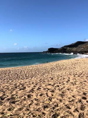 Yesterday’s report 🤙 #sandys #sandybeach #oahu #hawaii #saferbeachesdowndaroad #yessah 