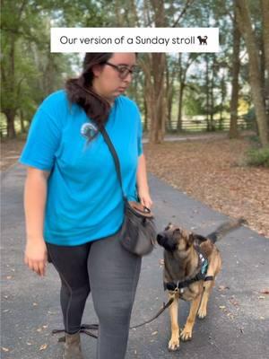 Training in Action: Mastering the Heel! 🐾✨ Watch our future service dog perfect their heel command, staying focused and in sync with their handler. This skill is essential for ensuring safety and independence for those they’ll one day assist. 💙 🔑 Why “Heel” is Key: • Maintains control in busy spaces • Keeps dog and handler connected • Builds the foundation for advanced tasks Every step brings this dog closer to transforming a life! 📢 Support their journey today: https://www.medicalservicedogs.org/donations/general-donations/ #ServiceDogTraining #HeelCommand #FutureHeroDog #GuardianAngelsMedicalServiceDogs #ChangingLivesOneStepAtATime #puppydogs #petdogs #puppies #puppiesoftiktok #puppiesonly #puppiesofinstagram #puppytiktok #puppycheck #puppylife #puppytok #puppytraining #puppydogeyes #cutedog #gsd #gspuppy #germanshepard #germanshepardsoftiktok #germanshepards #DogTraining #puppytips #servicedog #servicedogsoftiktok #fyp #fypage #viraltiktok #puppytreats