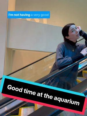 We’re always having a good time at Shedd! 🌊🐠 Have you visited our new Wonder or Water exhibit yet? Come check it out! Tap the link in our bio for tickets. 🎟️ #idontthinkimhavingagoodtime #imreallystartingtolikethis #sheddaquarium 