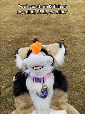 #fursuit #fursuiter #fursuits #furry #furryfandom #fursuiting #furrys #furries #dutchangeldragon #dutchie #dutchiefursuit #fursuiters #dragonfursuit #fursona #fursonas #dragonfursona #dutchiefursona 