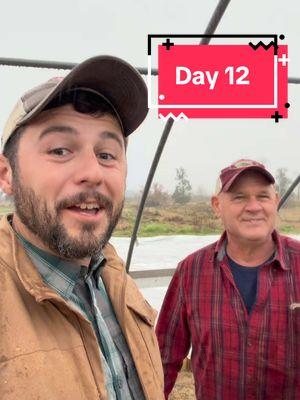 Day 12! Greenhouse plastic! #seedstarting #greenhouse #frobergsfarm 