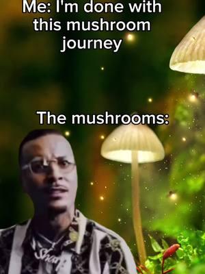 The mushrooms decide when you're done. #macrodose #mushrooms #mushroomjourney 