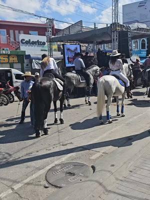 desfile hípico #Guastatoya #guatemala #elprogreso #viralvideo 