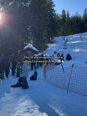 POV the plans made it out the group chat     #paratii  #leavenworth #fypシ゚viral #winter #skiresort #snowtubing #washington #snow 