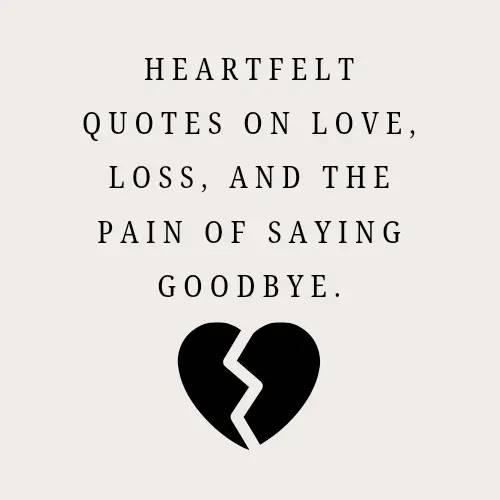 10 heart-wrenching quotes that capture the raw and unspoken pain of losing someone you love. These words speak to the helplessness of watching a loved one suffer, and the unbearable weight of grief that lingers after they’re gone. Each quote paints a picture of the anguish of saying goodbye—of being there for them, but still feeling powerless in their final moments. The emptiness, the longing, and the ache that follow the loss of someone dear are feelings that can't always be put into words, but these quotes come close. For anyone who’s ever held the hand of someone you love as they slipped away, or who’s felt the emptiness of their absence, these words are for you. Grief is a journey, one that doesn’t end with their departure but stays with you, changing you, reshaping you. Remember, even in your darkest moments, it’s okay to feel broken. You're not alone in your pain. Though the heart aches and tears fall, love is never lost. It lingers, and with time, it heals. Hold on to that love, let it guide you, and know that those we’ve lost will always be with us—in every tear, every smile, and every moment of quiet reflection. #qoutes #griving #GriefSupport #griefjourney  contains sound from: @funeralbabe 💕⚰️ 